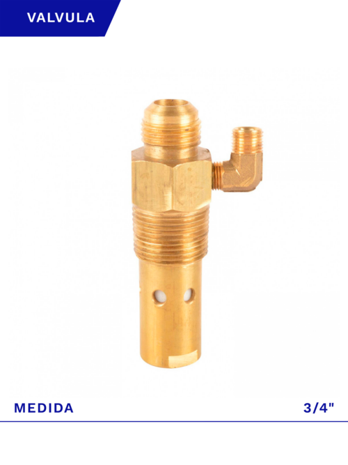 VALVULA RETENCION 3/4 COMPRESOR MSV 15 20 25 MAX